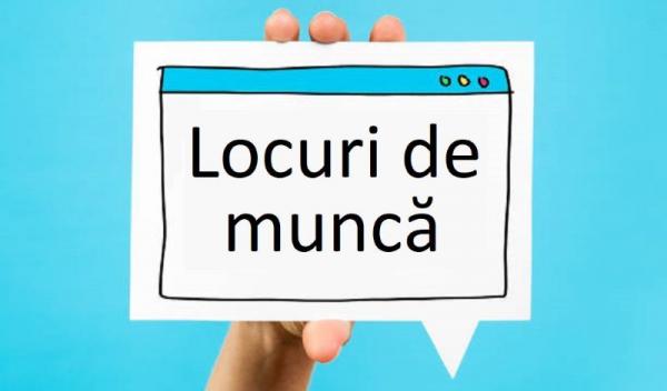 Locuri de munca_1
