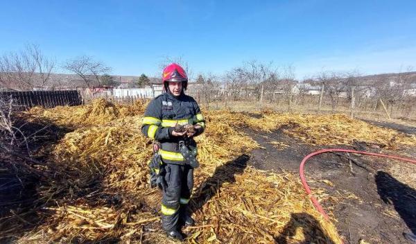 incendii vegetatie