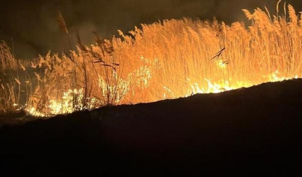 Incendiu vegetatie_001