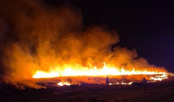 Incendiu vegetatie_003