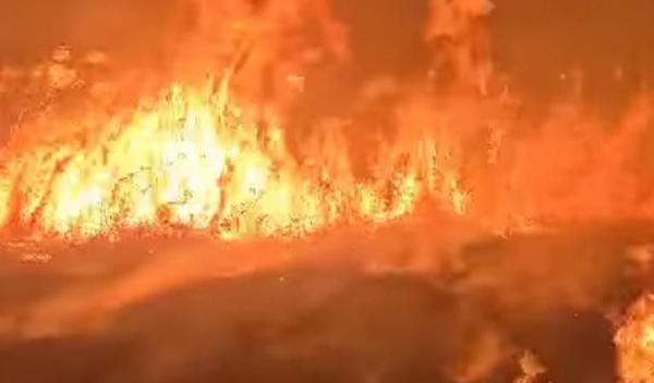 Incendiu vegetatie