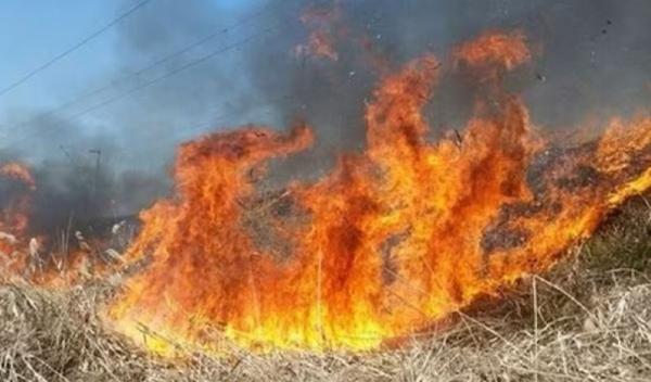 Incendiu_vegetatie_1