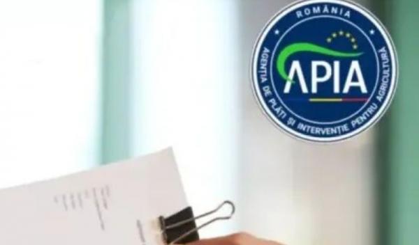 Apia