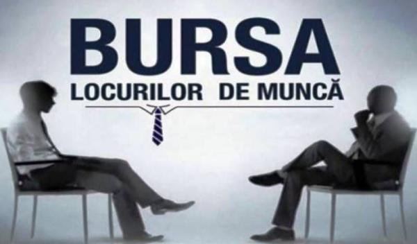 Bursa locurilor de munca (3)