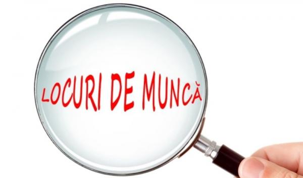 locuri de munca (2)