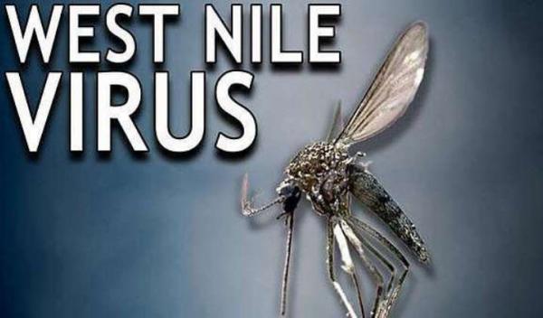 west nile