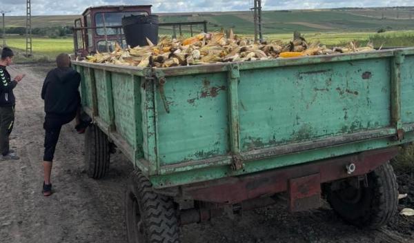 WhatsApp Image 2025-09-19 at 10.23.11 (1)