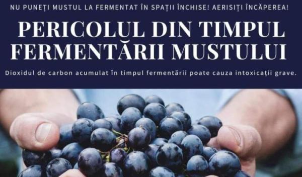 WhatsApp Image 2025-09-29 at 10.51.49