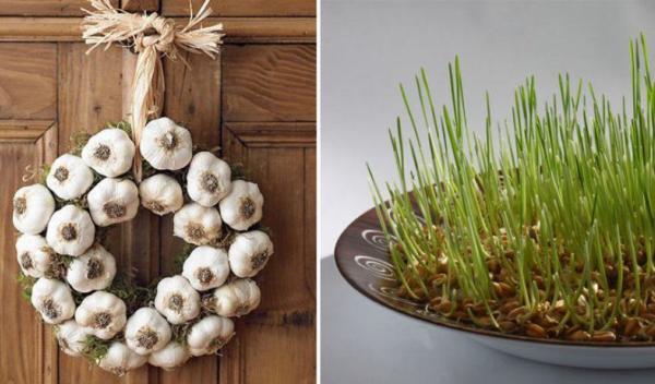 traditii-de-sfantul-andrei