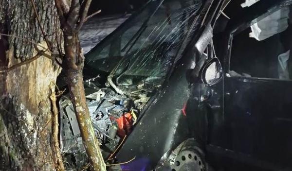 Accident Padureni (2)