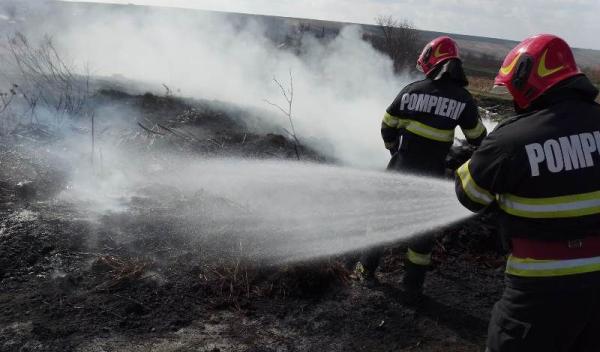 Incendiu vegetatie_ (2)
