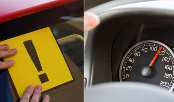 legea-sofer-incepator