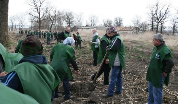 Miscarea pentru Botosani - Actiune plantare_19