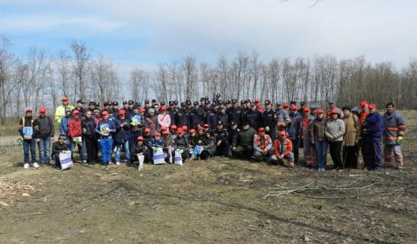 Actiune plantare copacei