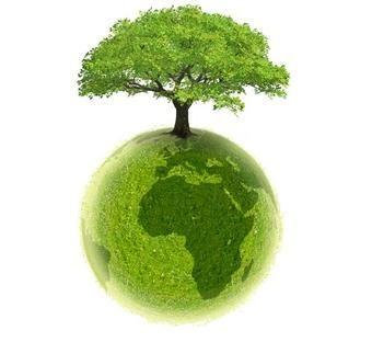 Ecologizare