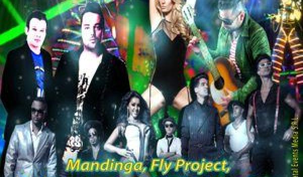 Afis Fly Project modificat