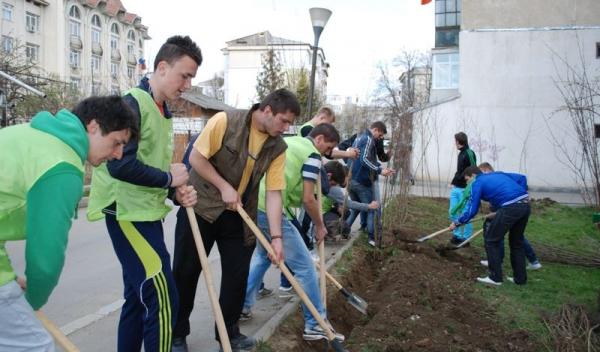 Miscarea pentru Botosani_Ecologizare Bucovina (2)