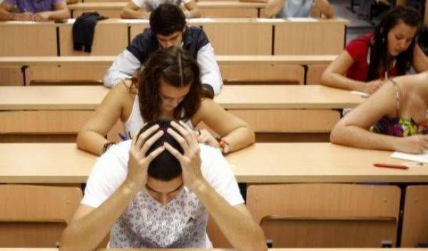 Universitate