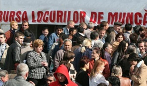 bursa locurilor de munca