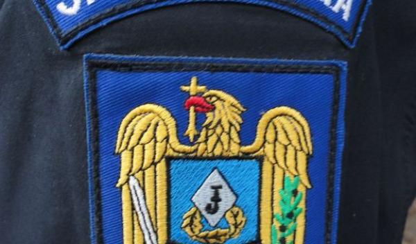 jandarmi botosani
