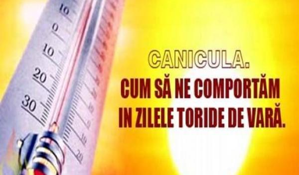 canicula_sfaturi