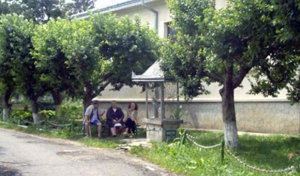 Trusesti