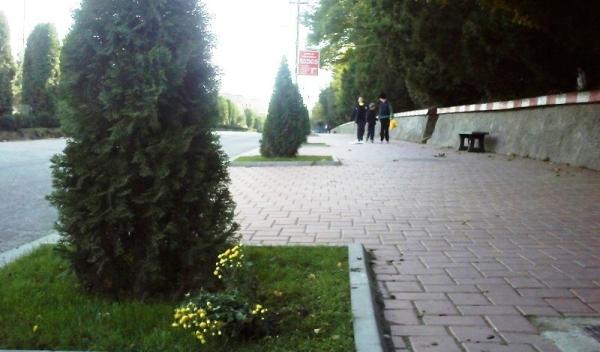 spatii verzi distruse