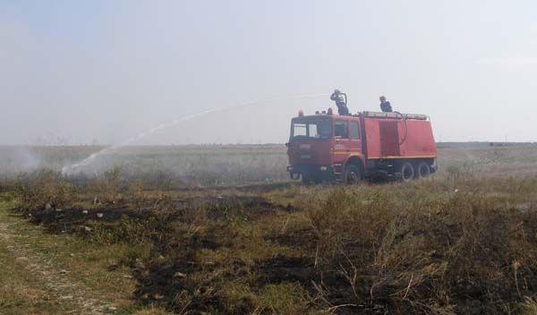 incendiu-vegetatie