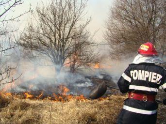 Incendiu de vegetatie uscata