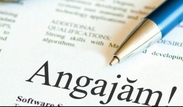 Locuri de muncă