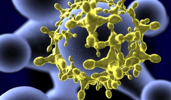 virus