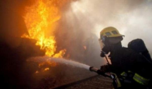 pagubita de foc