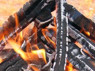 foc-lemne