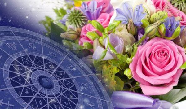 zodiac-floral