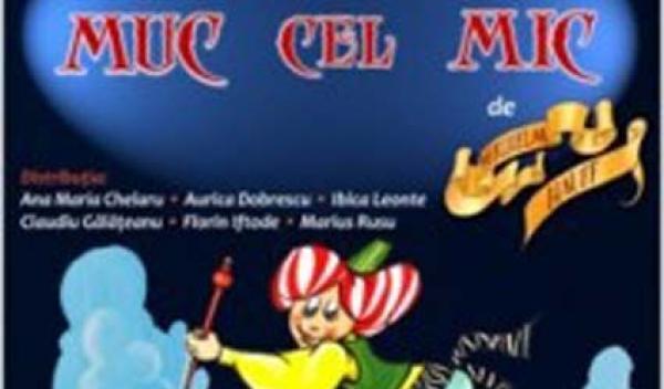Muc-cel-mic