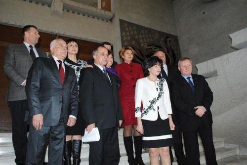 parlamentari de Botosani