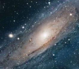 cosmos