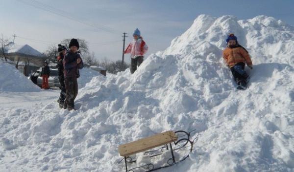 Copil sfâşiat de cinci câini la săniuş