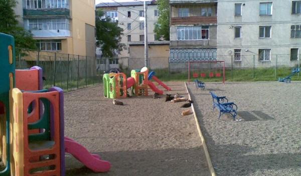 Maidanezii de paza