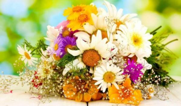 Horoscopul florilor