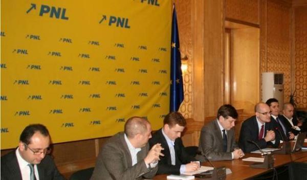 TNL a început campania pentru alegerile prezidențiale