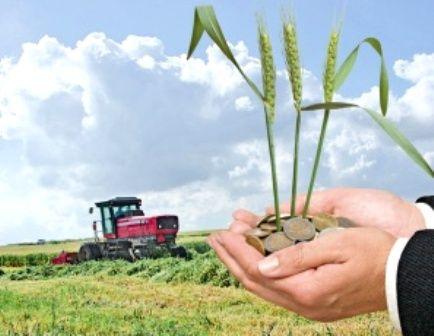 Ministerul Agriculturii începe plata subvențiilor