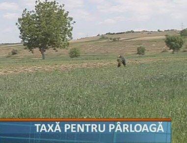 taxa pentru parloaga