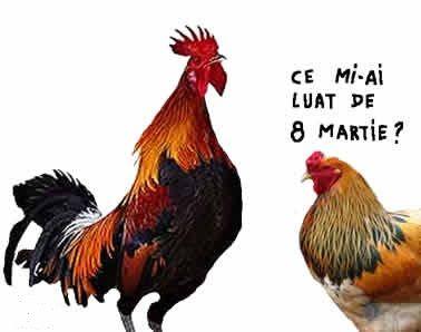 cadou