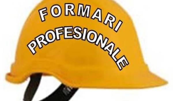 Formari profesionale