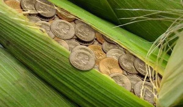 agricultura