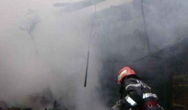 adapost animale incendiat