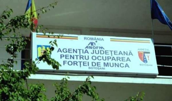 AJOFM Botoșani