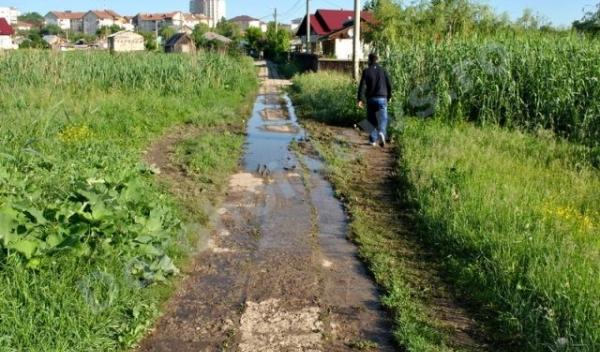 Dorohoi - Canalizare cu probleme_06