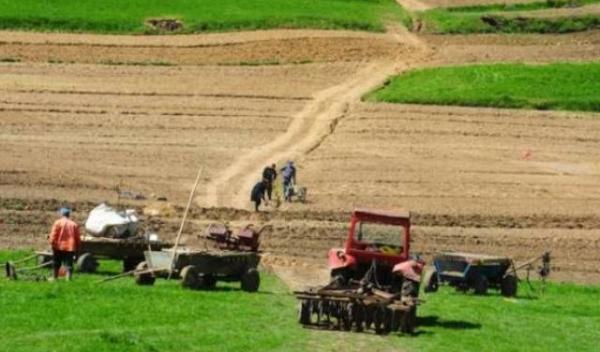 teren agricol